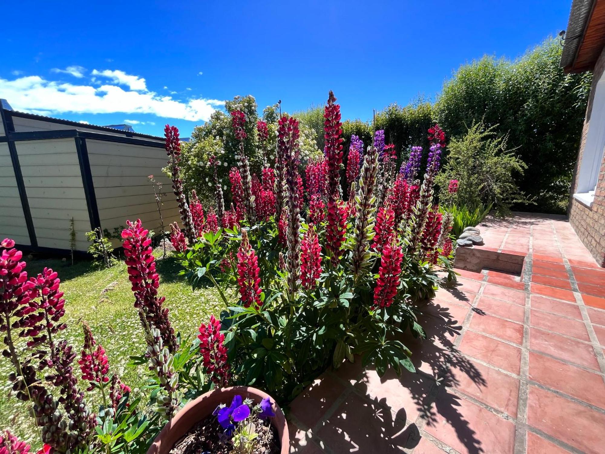 La Veranada Holiday home El Calafate